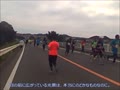第41回　松島ハーフマラソン　2017年10月8日