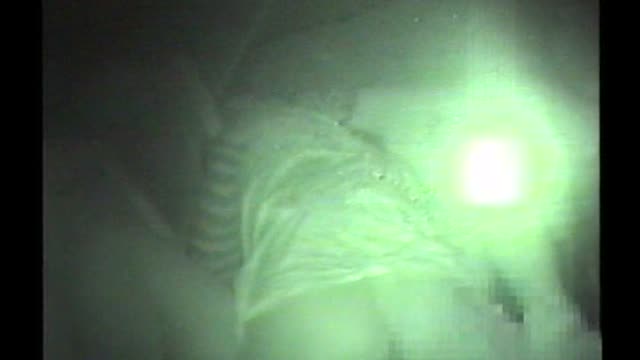 【**】【鹿児島】ご当地カーセックス**！彼氏が腰振りまくりです！背後からの接近カメラにも気が付いてません！ - FC2 Video (Adult)